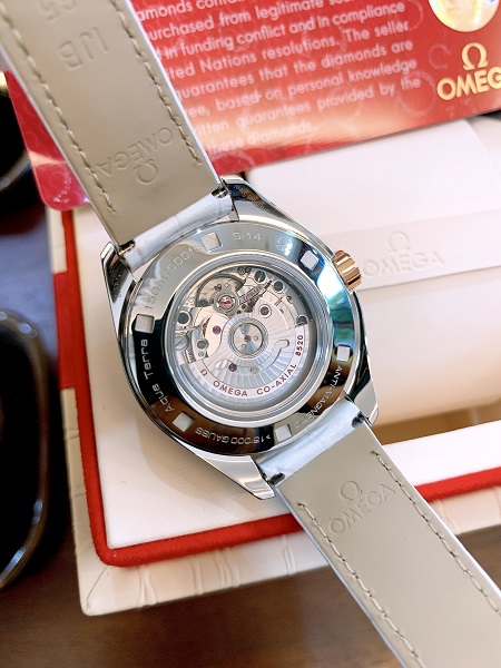 Đồng hồ Omega 23123342055001