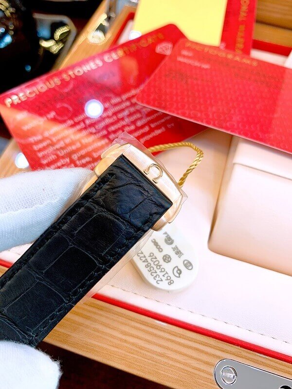 Đồng hồ Omega 23258422101001