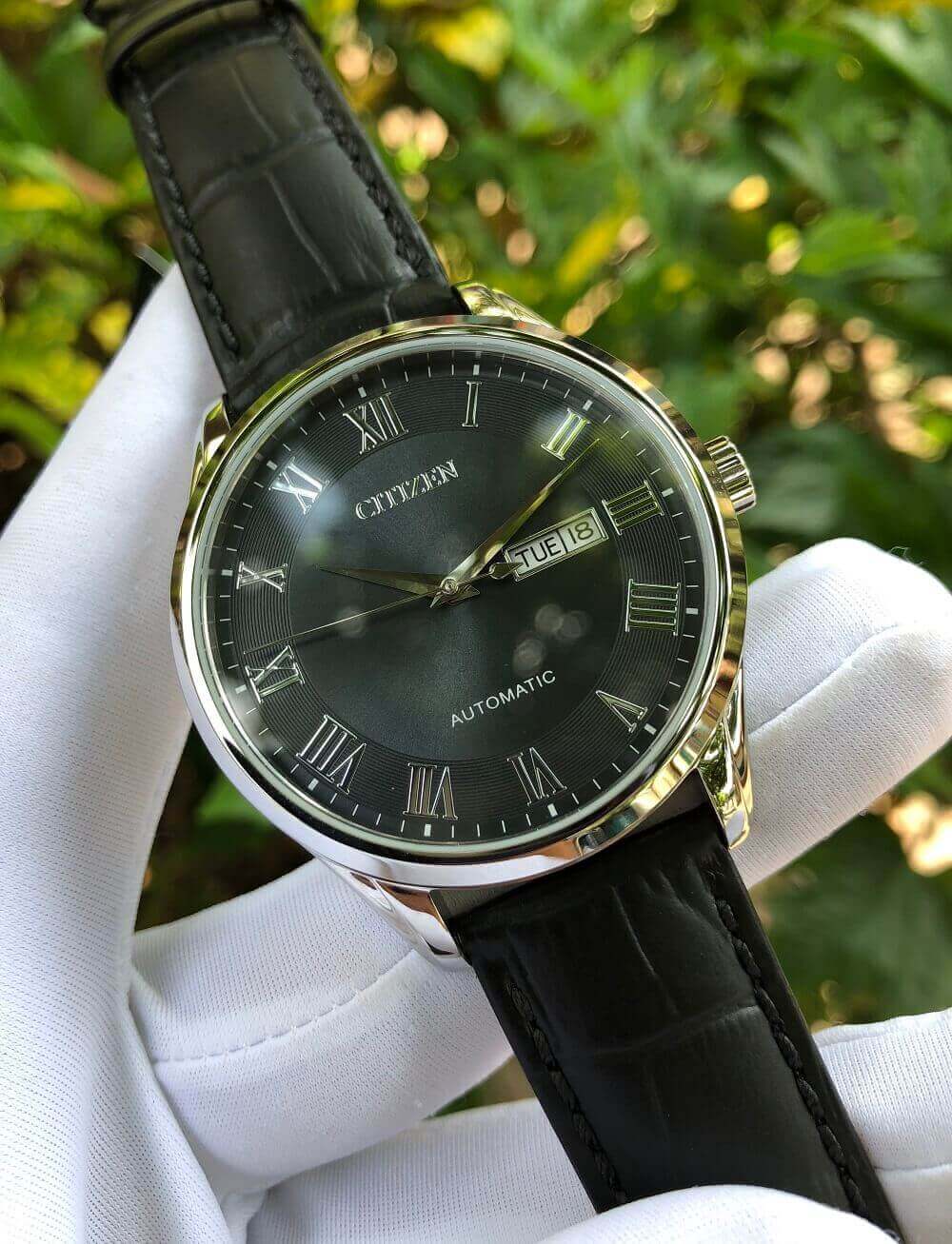 Đồng hồ Citizen NH8360-12H