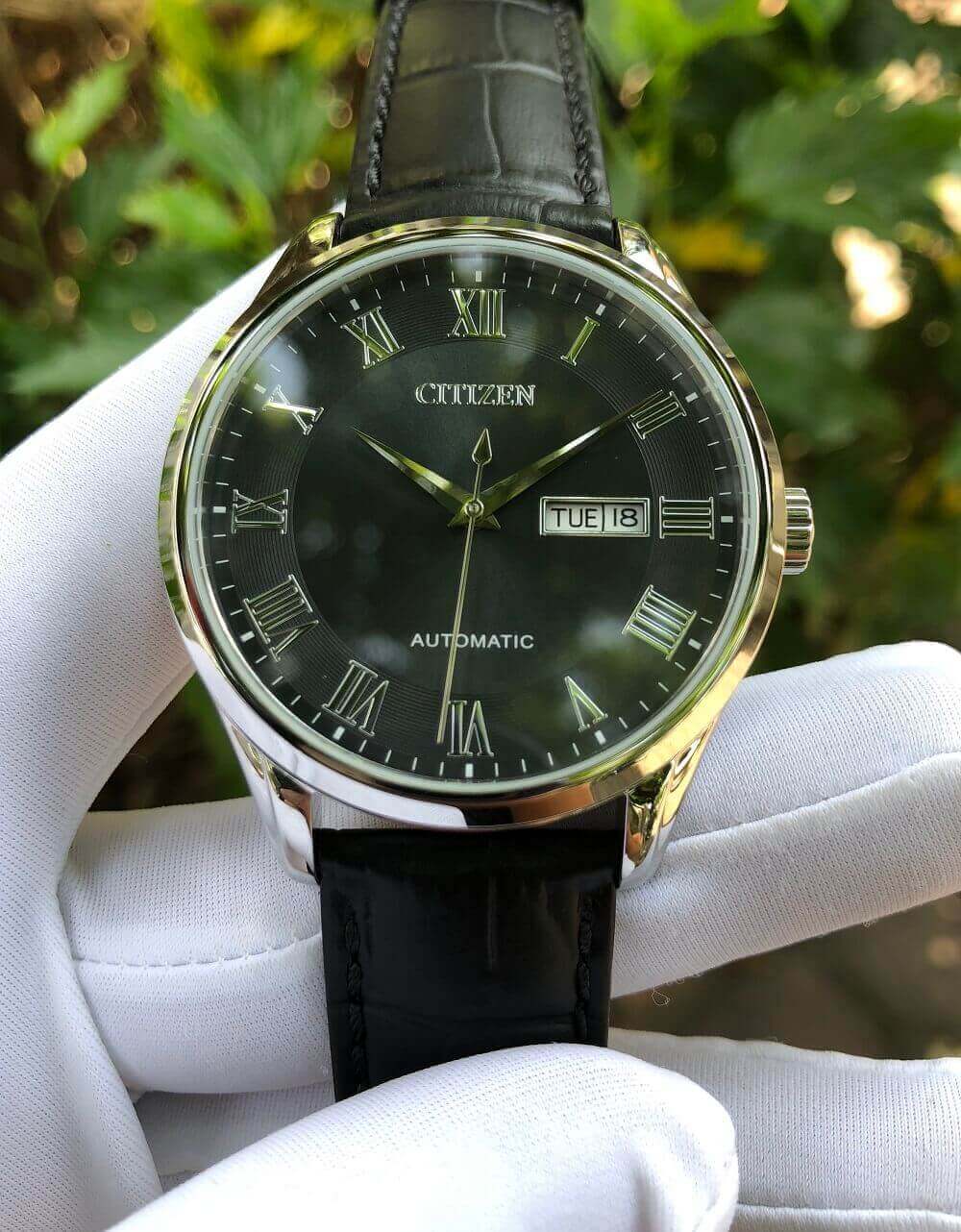 đồng hồ Citizen NH8360-12H